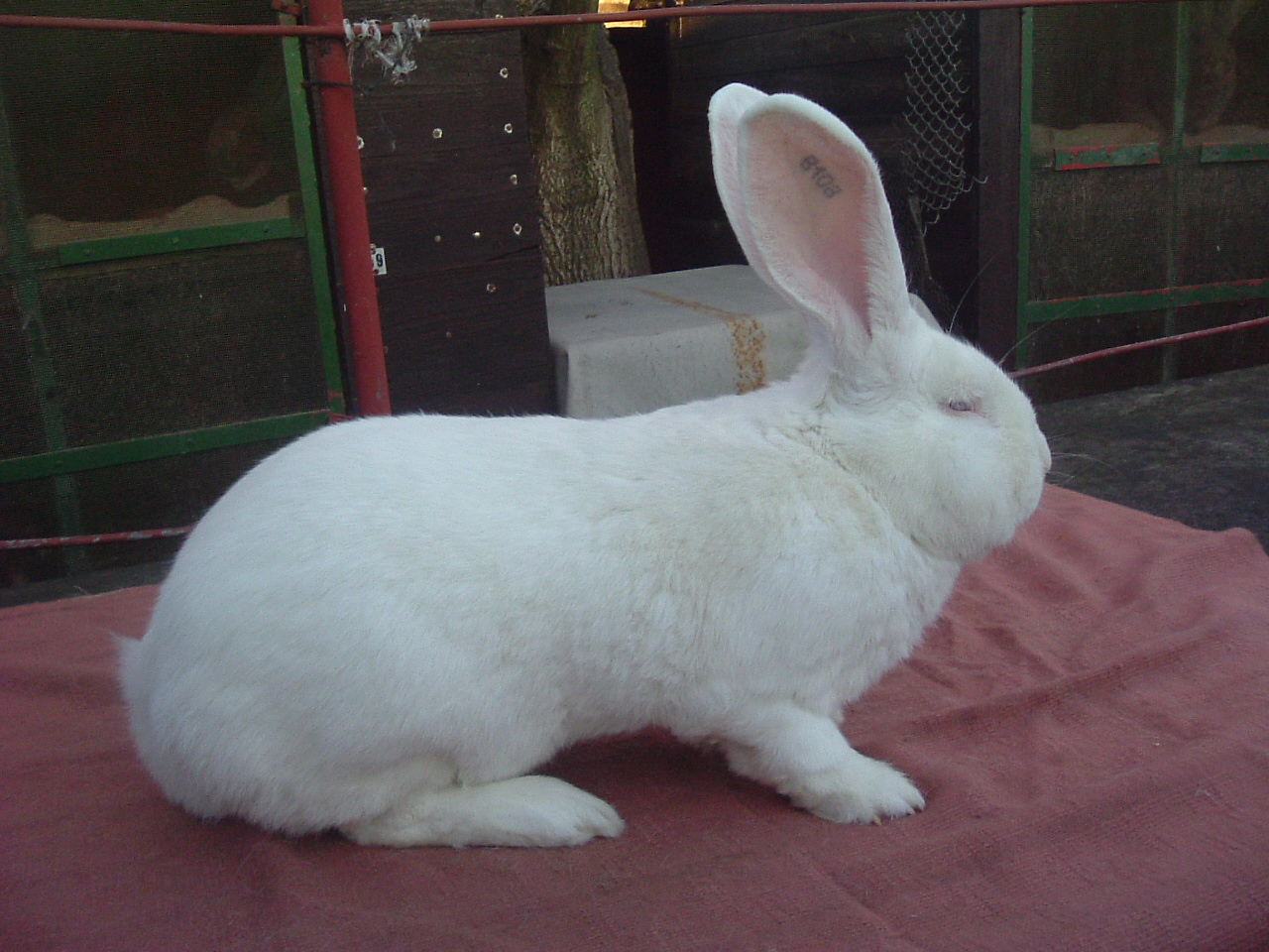 DSCF1519.JPG