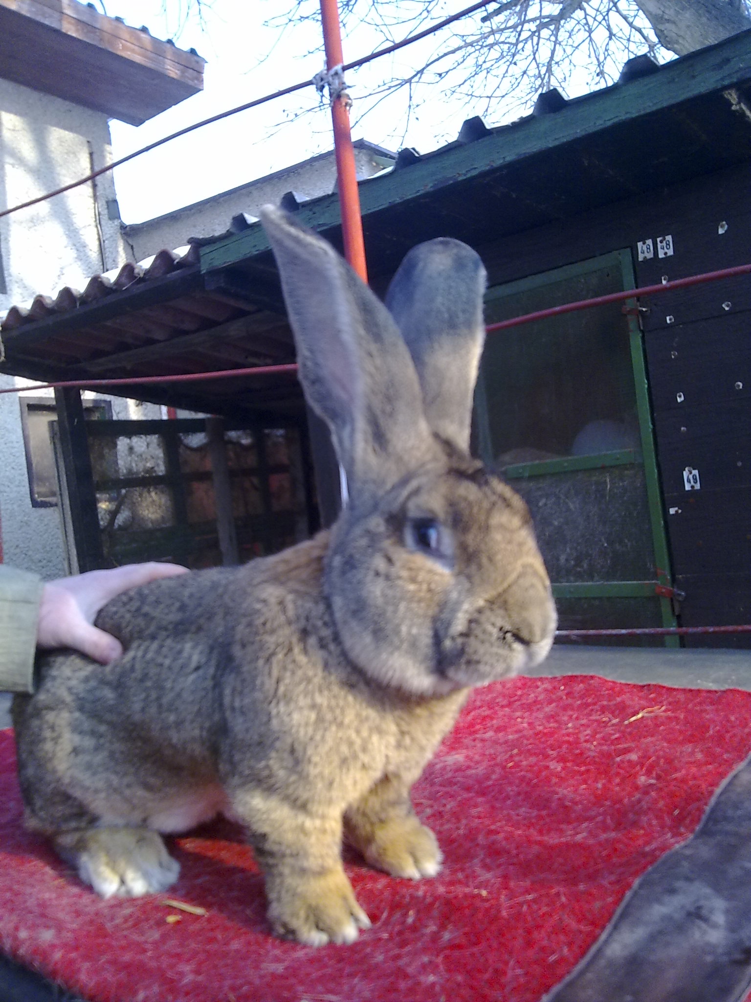 08022010828.jpg